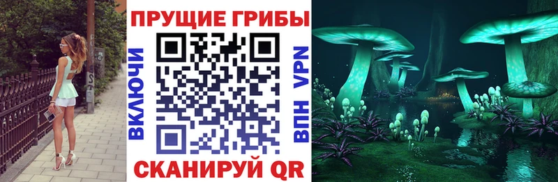 Псилоцибиновые грибы MAGIC MUSHROOMS Светогорск